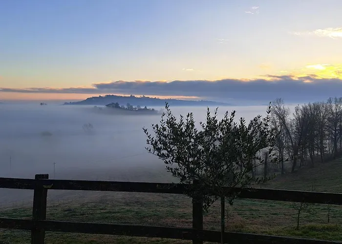 Cascina Fazioli B&B Alfiano Natta foto