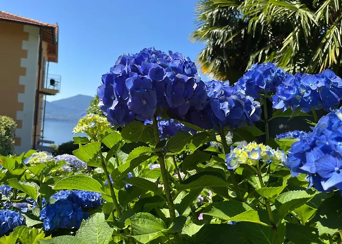 صورة Villa Paradiso Cannero Riviera