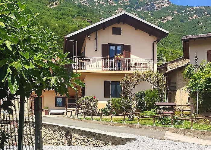 Il Cuore Dei Foresti Villar San Costanzo zdjęcie