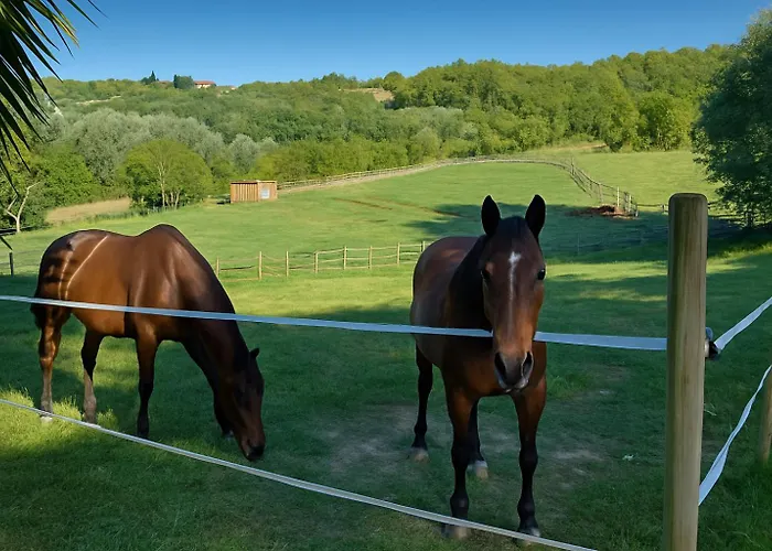 B&B Freedoms Reins Farm Casalborgone Foto