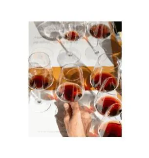 Apartament Il Borghetto Di Castagnole Castagnole Monferrato zdjęcie