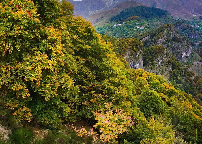 Rimella Stones And Pinesヴィラの写真