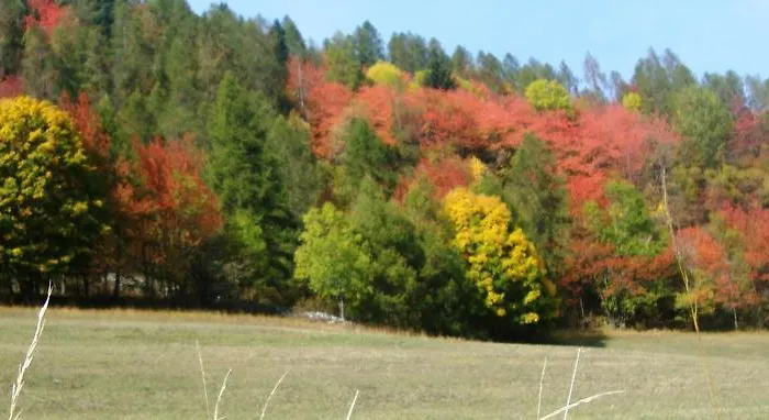 Frassino  Bed & Breakfast Barba Bertu תמונה